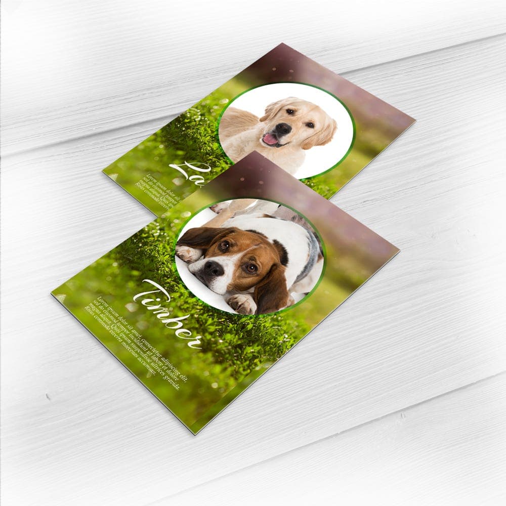 Black Edge Trading Cards thumbnail 3