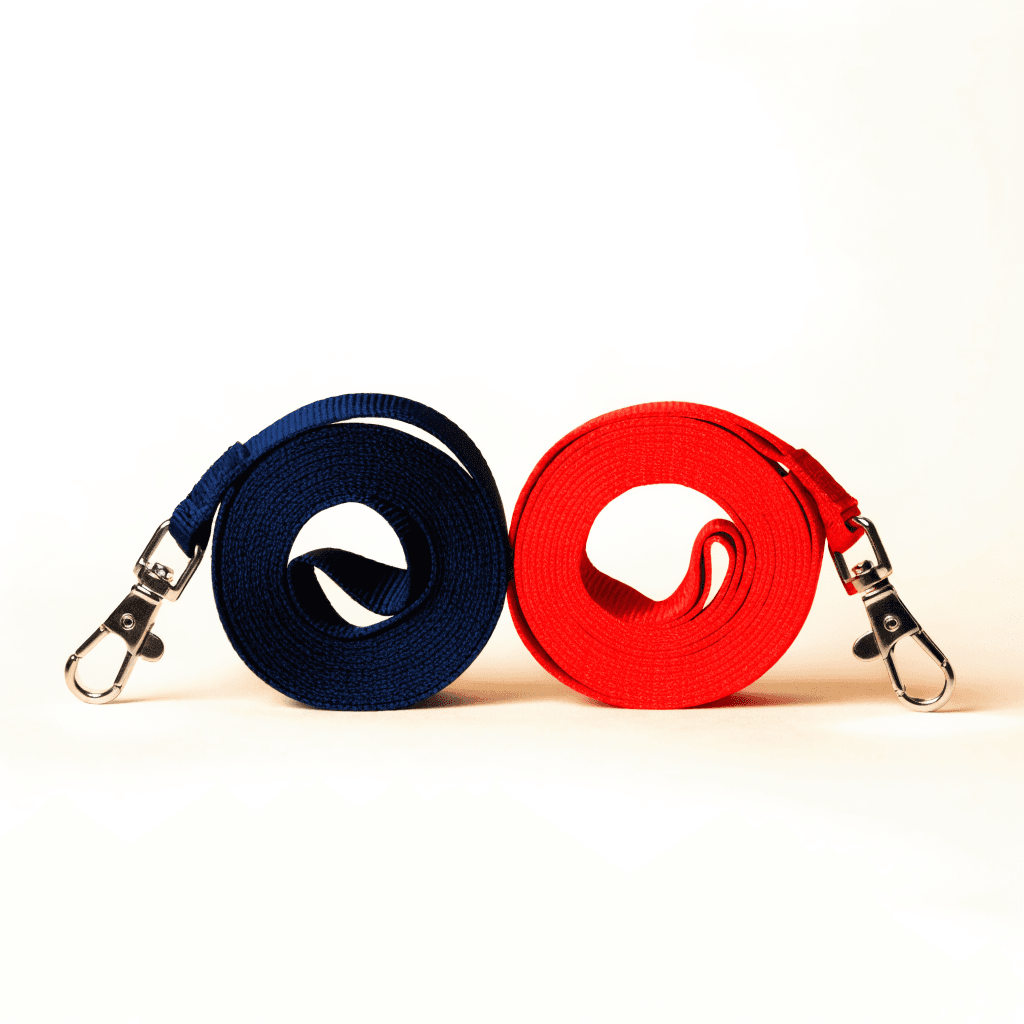 Lanyards view 1