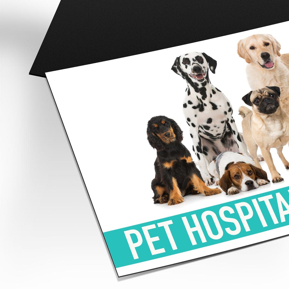 Magnet Business Cards thumbnail 3