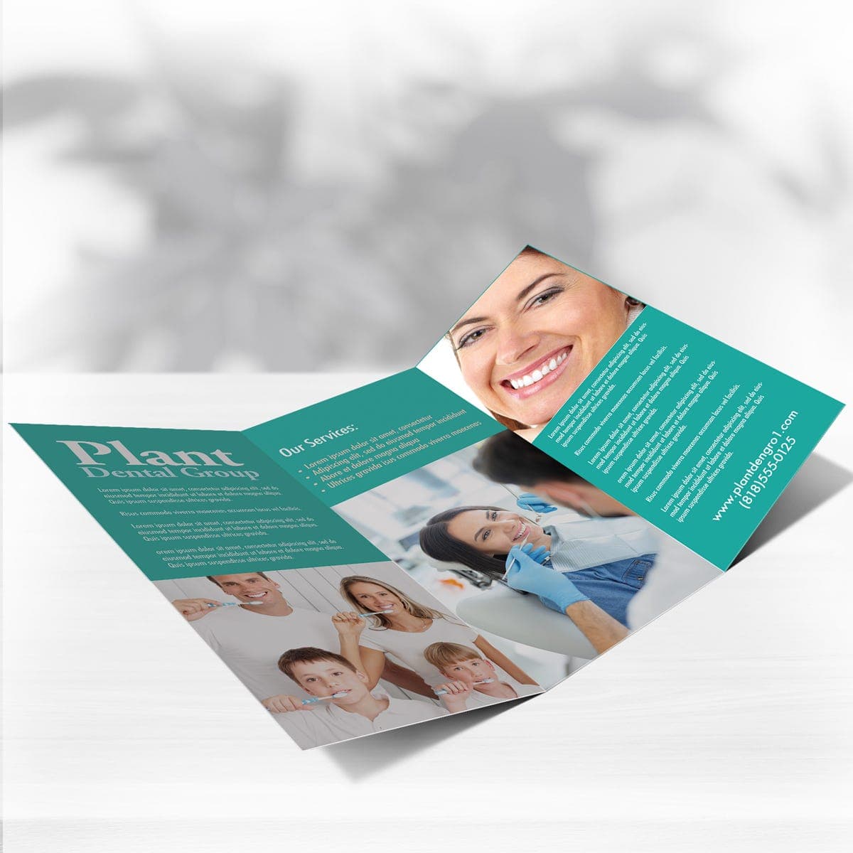 Tri Fold Brochures thumbnail 2