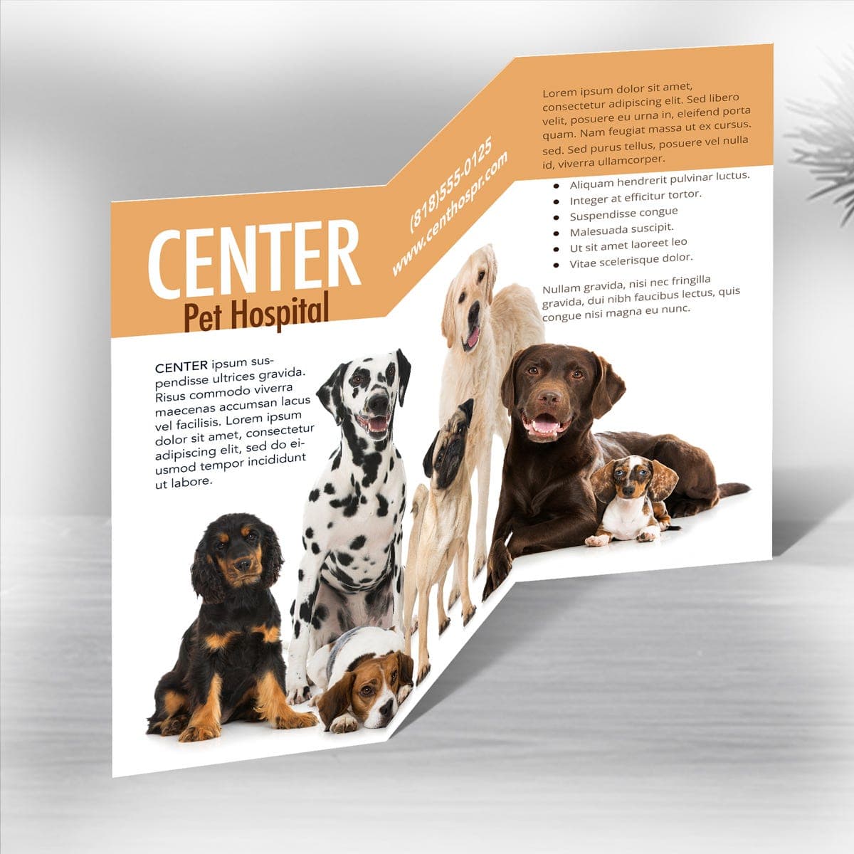Z Fold Brochures thumbnail 2